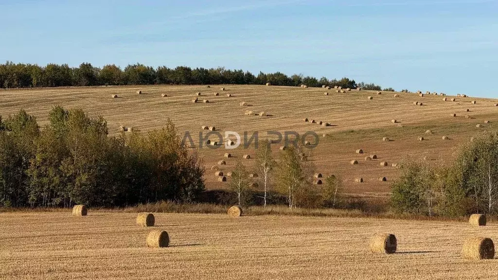 Дом в Саратовская область, Татищево рп ул. Новая, 18 (200 м) - Фото 1