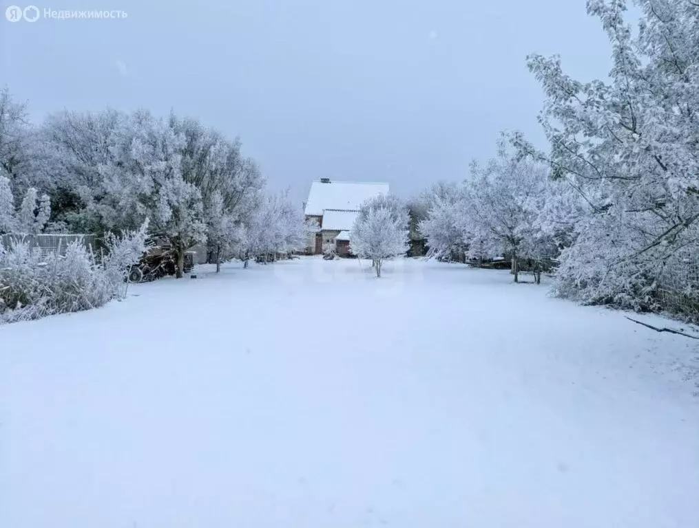 Участок в Семилуки, микрорайон Южный, Васильковая улица (10 м) - Фото 2