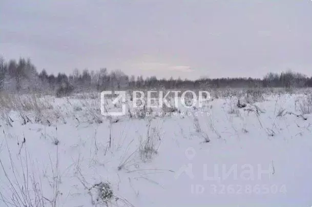 Участок в Ивановская область, Ивановский район, Куликовское с/пос, д. ... - Фото 2