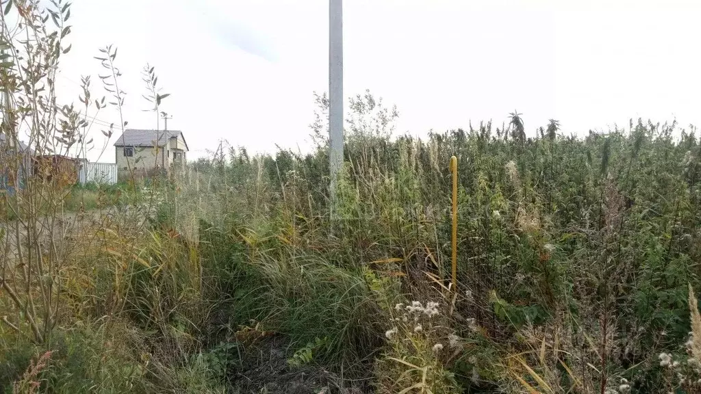 Участок в Тюменская область, Тюмень На Липовом кп, ул. Николая ... - Фото 1