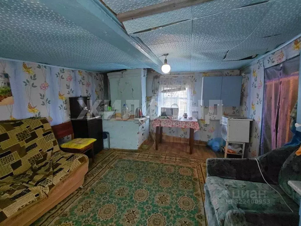 Дом в Новосибирская область, Колыванский район, с. Скала Зеленая ул. ... - Фото 1