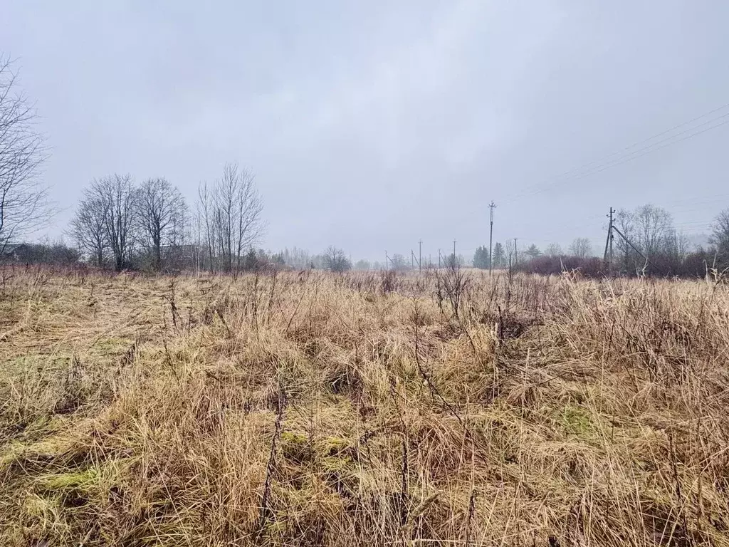 Участок в Ленинградская область, Выборгский район, Селезневское с/пос, ... - Фото 2