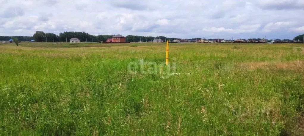 Участок в Омская область, Омский район, с. Усть-Заостровка Березовая ... - Фото 0