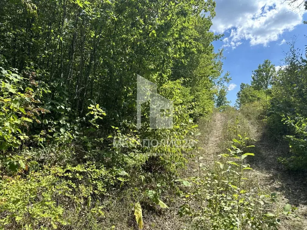 Участок в Краснодарский край, Геленджик муниципальное образование, с. ... - Фото 0