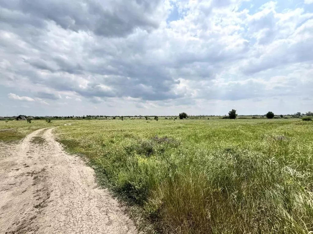 Участок в Саратовская область, Энгельсский район, Красноярское ... - Фото 2