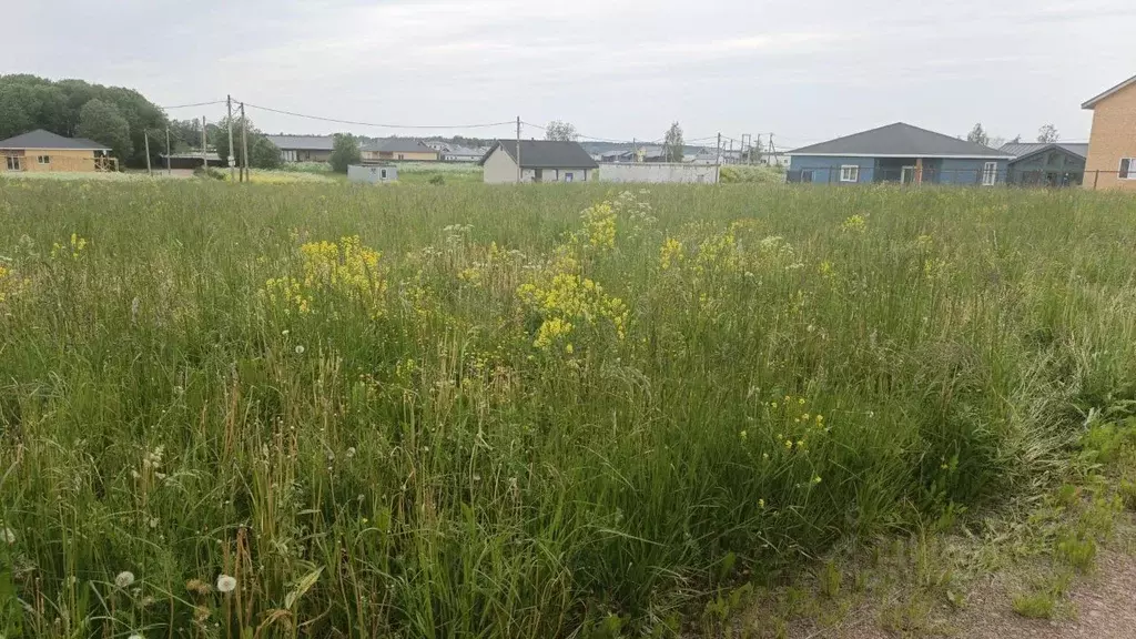 Участок в Ленинградская область, Ломоносовский район, Гостилицкое ... - Фото 1