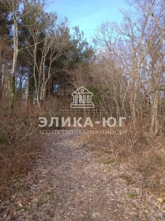 Участок в Краснодарский край, Туапсинский муниципальный округ, с. ... - Фото 1