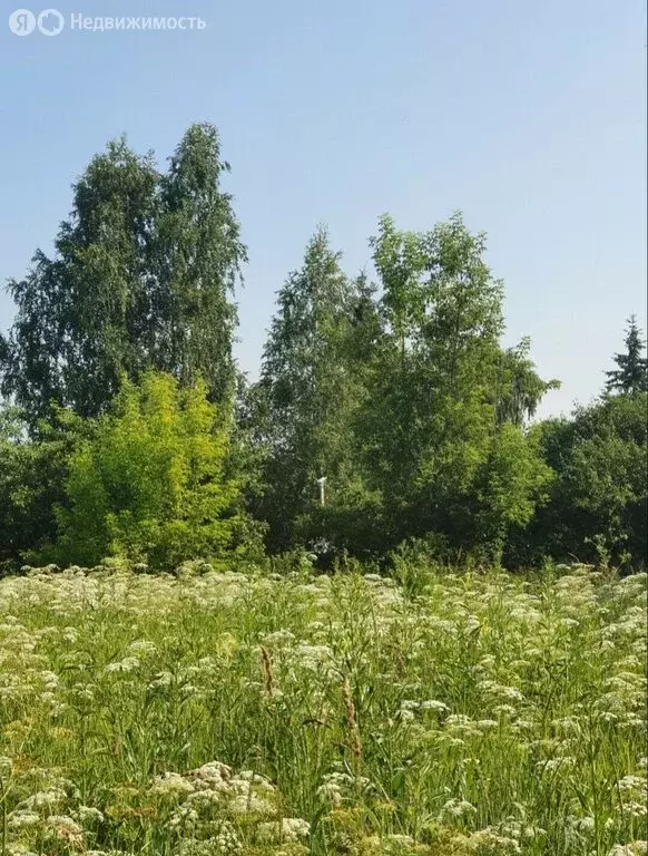 Участок в село Варварское, Центральная улица (15 м) - Фото 1