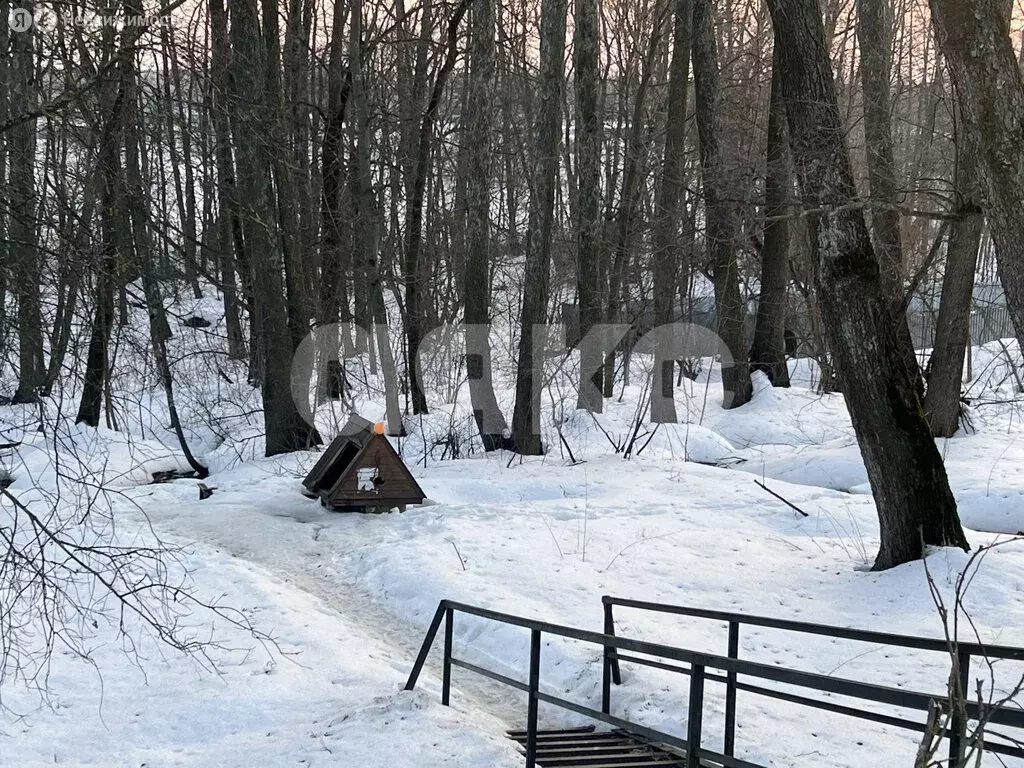 Участок в Московская область, Раменский муниципальный округ, село ... - Фото 2