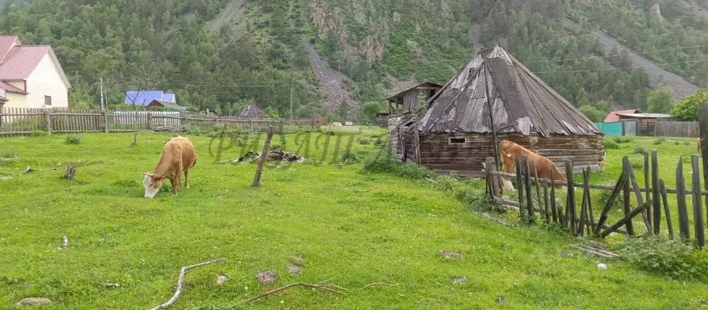 Участок в Алтай, Улаганский район, с. Балыкча Богатырская ул. (19.0 ... - Фото 2