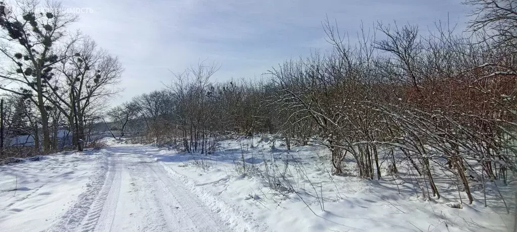 Дом в село Московское, улица Горького, 112 (30 м) - Фото 1