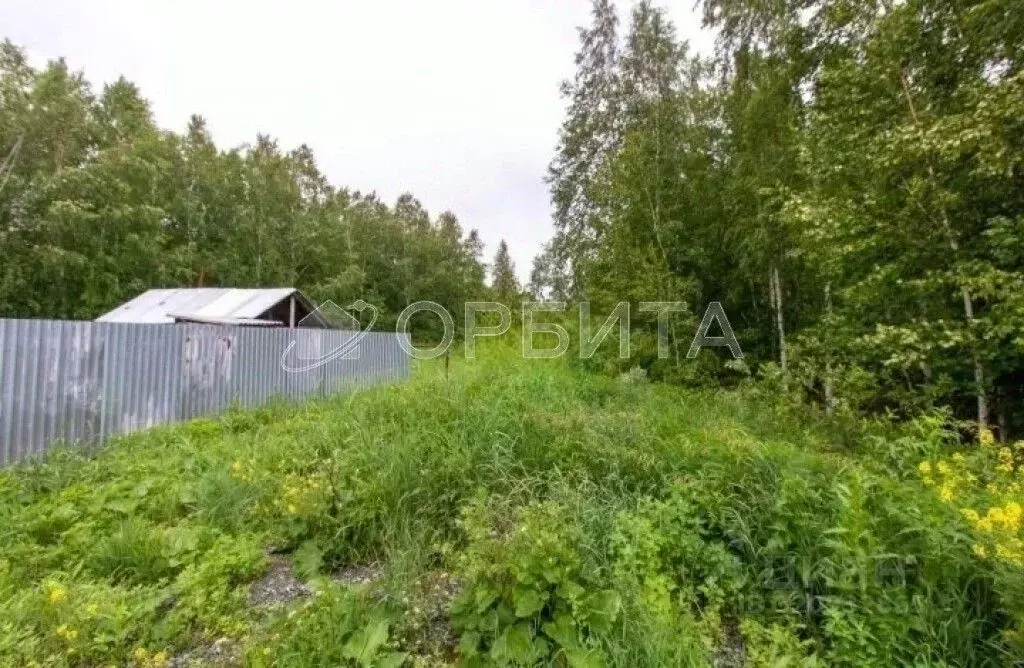 Участок в Тюменская область, Нижнетавдинский район, Фортуна СТ ул. ... - Фото 1