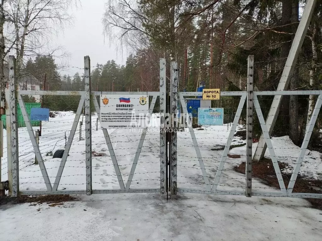 Участок в Выборгский район, Селезнёвское сельское поселение, поселок ... - Фото 2