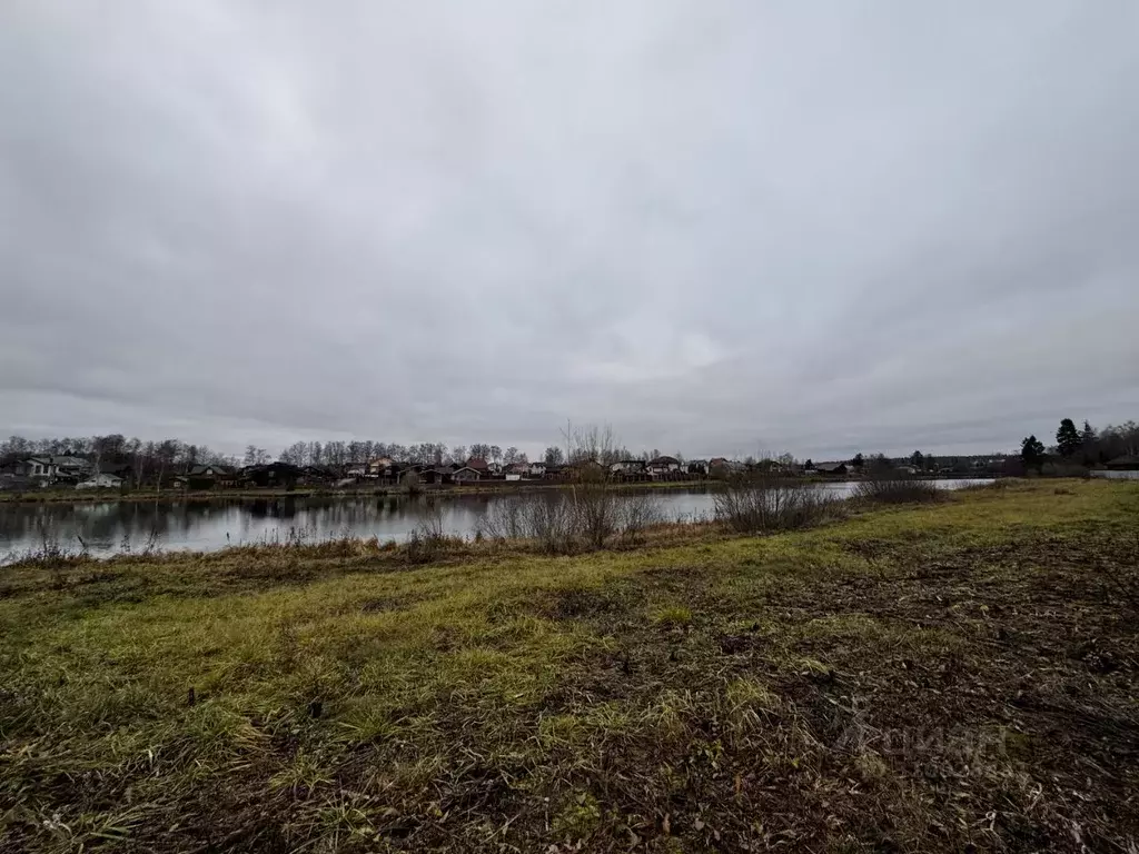 Участок в Московская область, Пушкинский городской округ, д. Алешино, ... - Фото 1