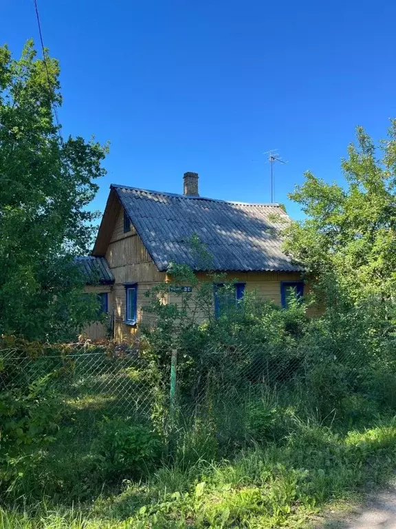 Дом в Псковская область, Палкино рп  (35 м) - Фото 0