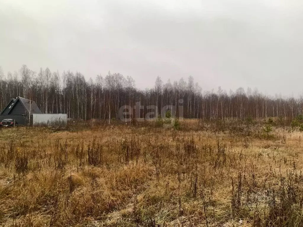 Участок в Татарстан, Пестречинский район, Шигалеевское с/пос, с. Новое ... - Фото 2