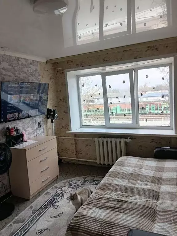 Комната Брянская область, Брянск Белорусская ул., 30 (13.2 м) - Фото 1