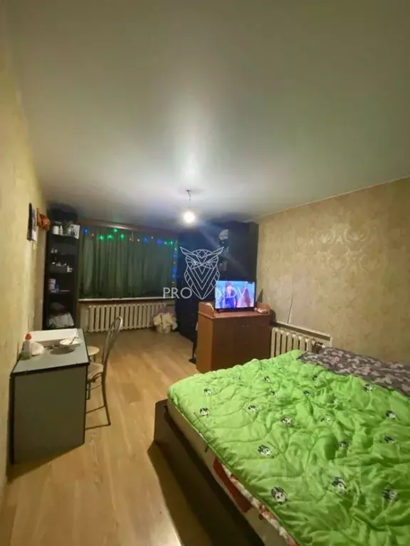 1-к кв. Московская область, Красноармейск Пушкинский городской округ, ... - Фото 1