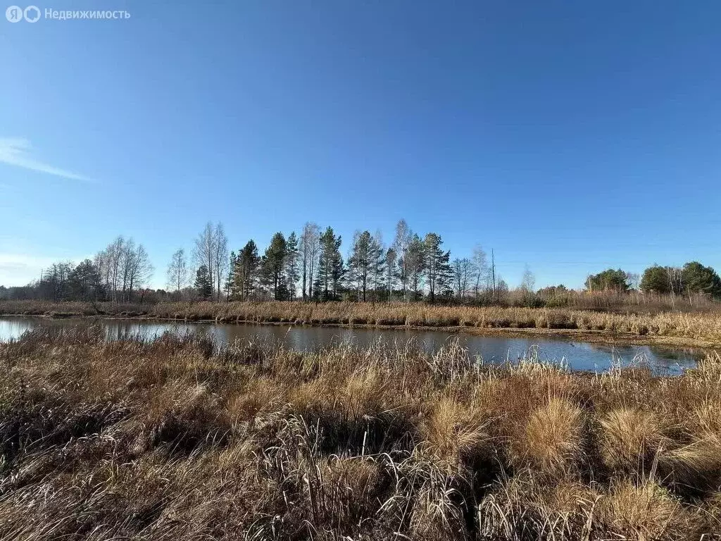 Участок в Бессоновский район, посёлок Подлесный, КП Лесное озеро, ... - Фото 1