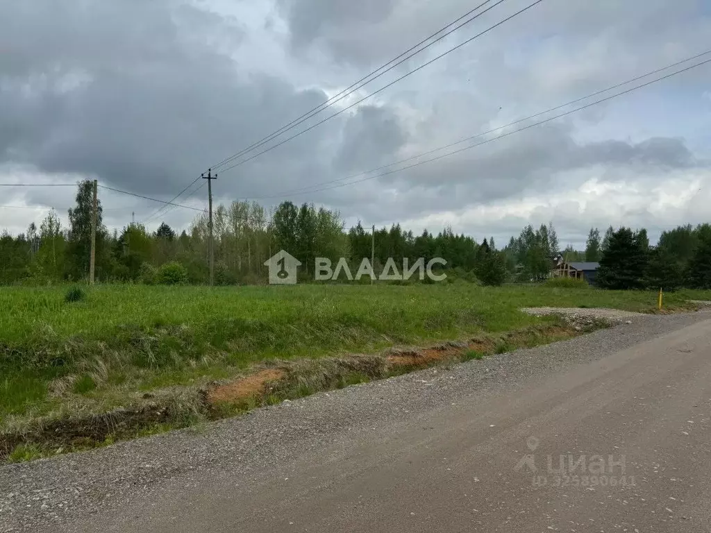 Участок в Ленинградская область, Всеволожский район, Романовское ... - Фото 1