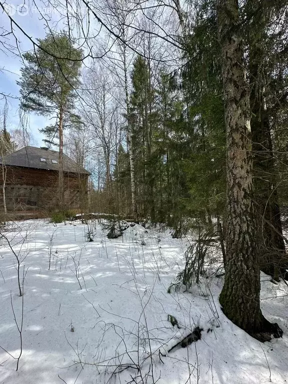 Участок в Зеленоградский, Озёрная улица (52 м) - Фото 0