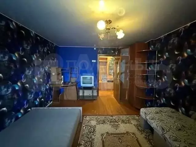 2-к. квартира, 35,7 м, 1/2 эт. - Фото 1
