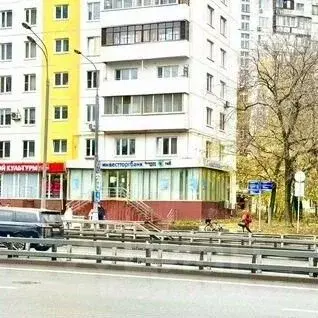 Торговая площадь в Москва ул. Народного Ополчения, 44к1 (80 м) - Фото 1