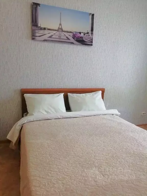 1-к кв. Красноярский край, Красноярск наб. Ярыгинская, 9 (30.0 м) - Фото 2