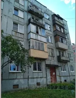 1-к кв. Ленинградская область, Всеволожский район, Куйвозовское с/пос, ... - Фото 2