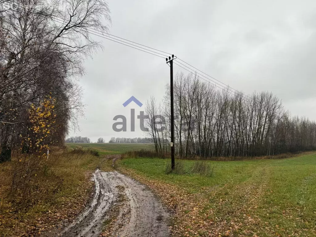 Участок в Лаишевский район, Александровское сельское поселение, ... - Фото 2