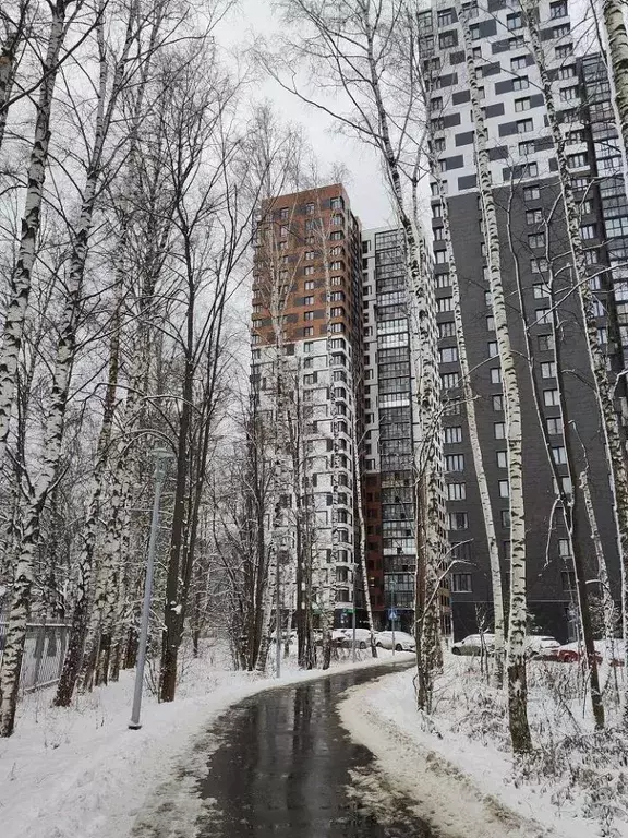 Студия Московская область, Одинцово ул. Маршала Бирюзова, 7к1 (31.4 м) - Фото 2