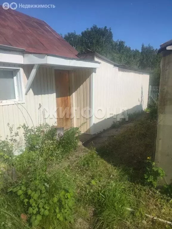 Участок в Новосибирский район, Ярковский сельсовет, СНТ Ивушка (6 м) - Фото 1