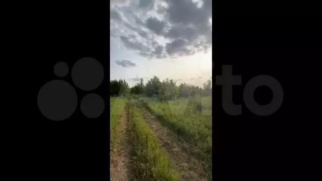 Участок 11,8 сот. (СНТ, ДНП) - Фото 1