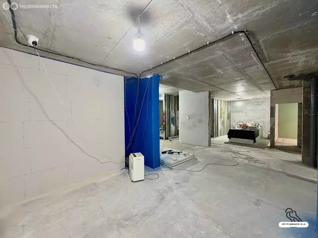Помещение свободного назначения (218.5 м) - Фото 2