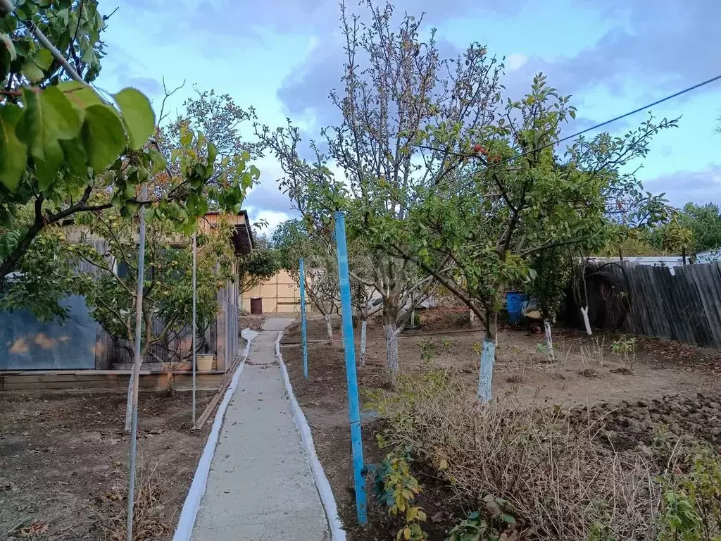 Участок в Краснодарский край, Анапа муниципальный округ, с. Супсех ул. ... - Фото 2