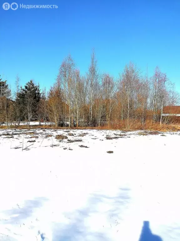 Участок в Опольевское сельское поселение, садоводческое некоммерческое ... - Фото 0