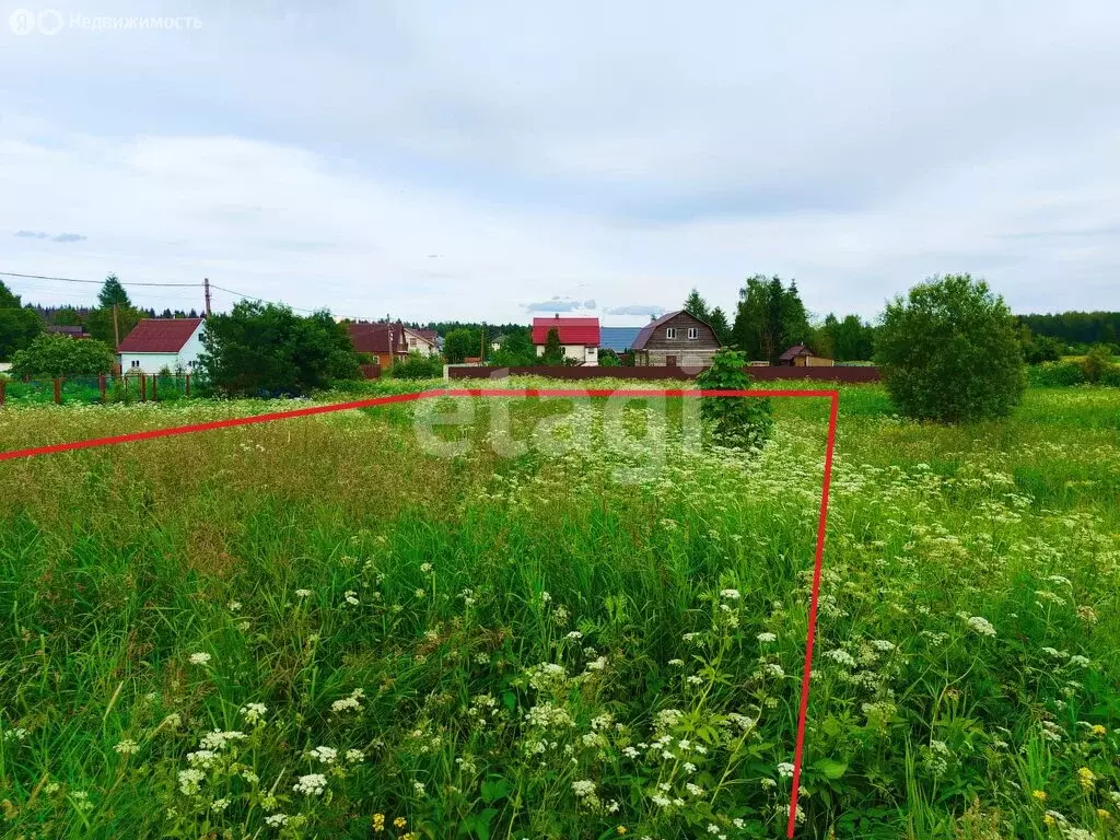 Участок в Ленинградская область, Гатчинский муниципальный округ, СНТ ... - Фото 1