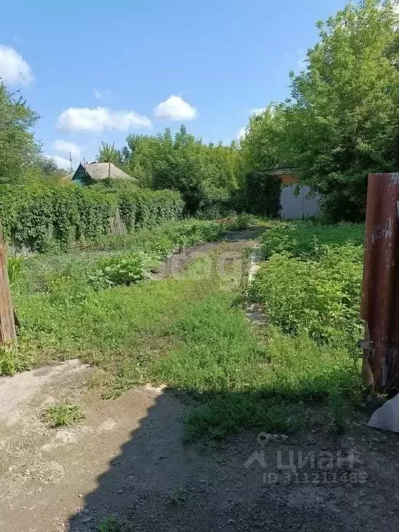 Дом в Белгородская область, Шебекино Садовая ул. (80 м) - Фото 0