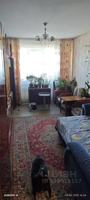 3-к кв. Алтайский край, Барнаул ул. Юрина, 208/39 (66.0 м) - Фото 1