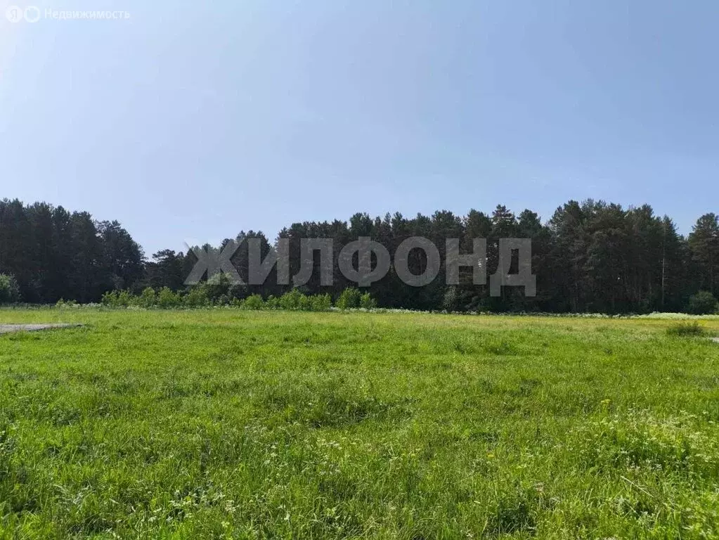 Участок в село Усть-Каменка, Сосновая улица (24 м) - Фото 0
