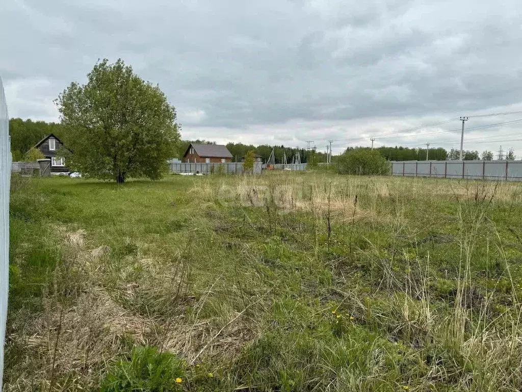 Участок в Московская область, Домодедово городской округ, д. Максимиха ... - Фото 2