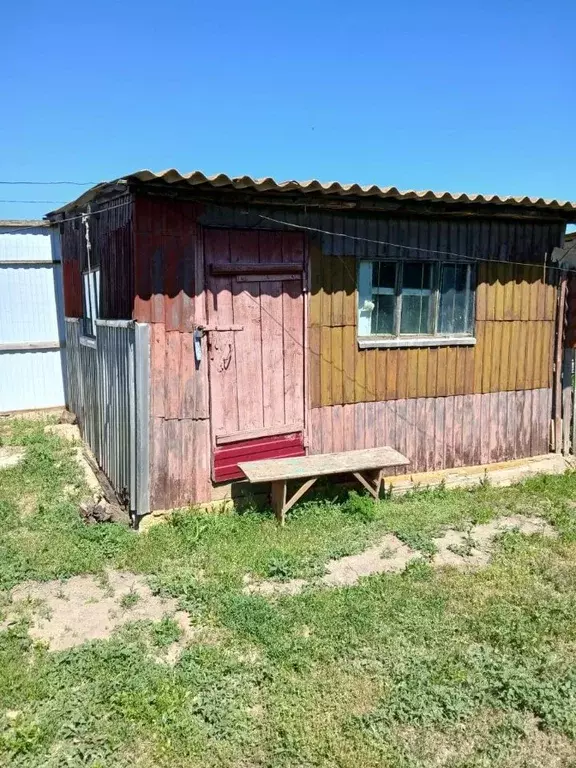 Дом в Саратовская область, Новоузенск Калачевская ул., 88 (95 м) - Фото 0