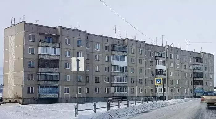 2-к кв. Челябинская область, Чебаркульский муниципальный округ, с. ... - Фото 1