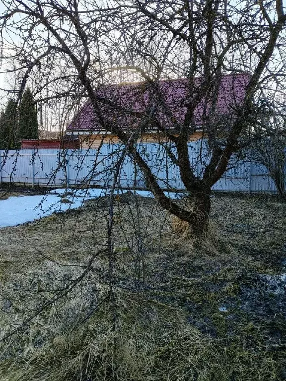 Продается участок в д. Осеченки - Фото 1