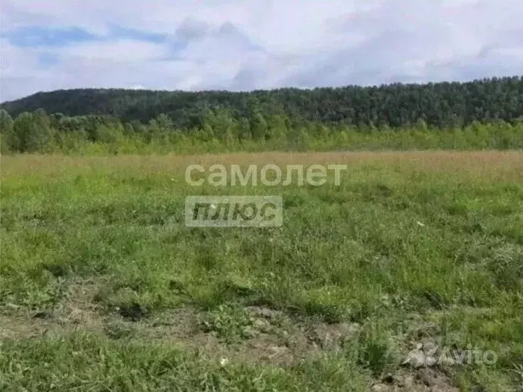 Участок в Иркутская область, Иркутский муниципальный округ, пос. ... - Фото 1