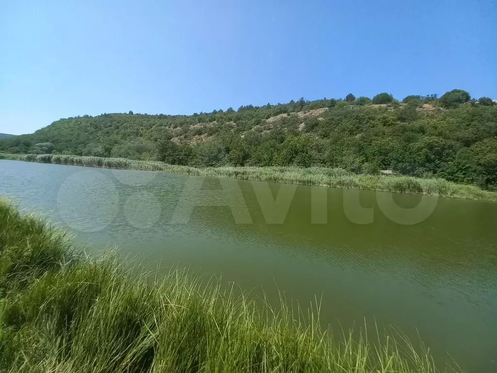 Участок 4,1 сот. (СНТ, ДНП) - Фото 0