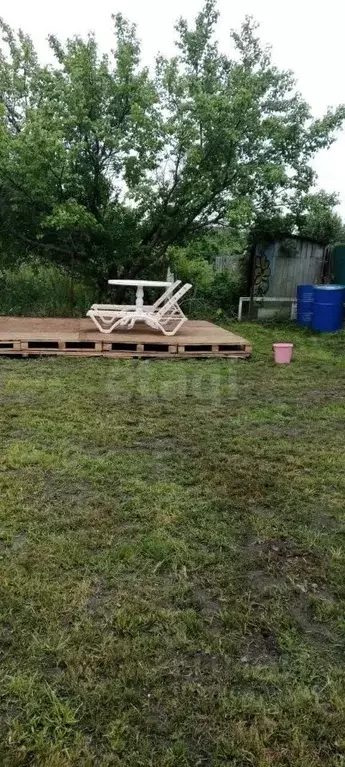 Дом в Ульяновская область, Ульяновск Яблонька СНТ, 559 (30 м) - Фото 1