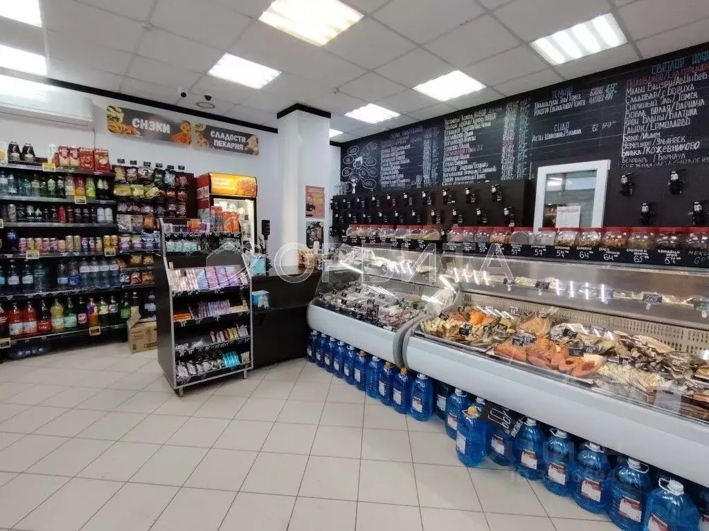 Помещение свободного назначения в Тюменская область, Тюмень ... - Фото 1