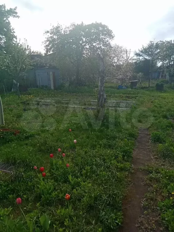 Участок 5,8 сот. (СНТ, ДНП) - Фото 0