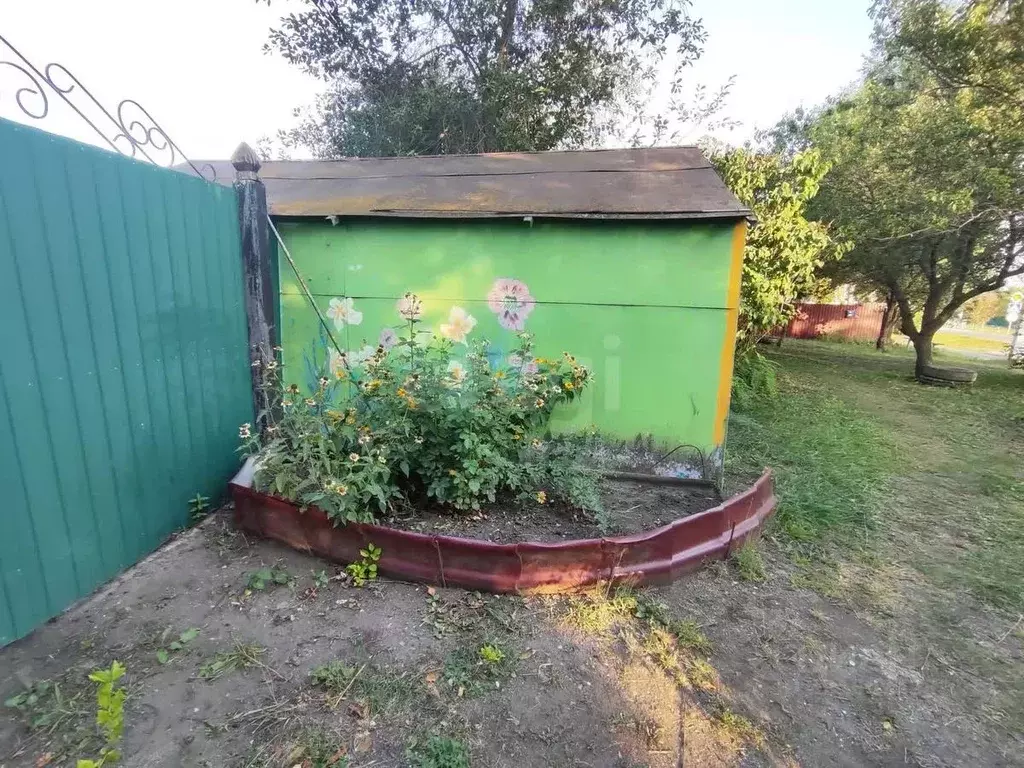 Дом в Белгородская область, Алексеевский муниципальный округ, с. ... - Фото 0